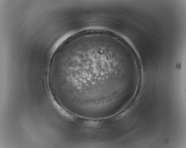 X0000113591245200910021709