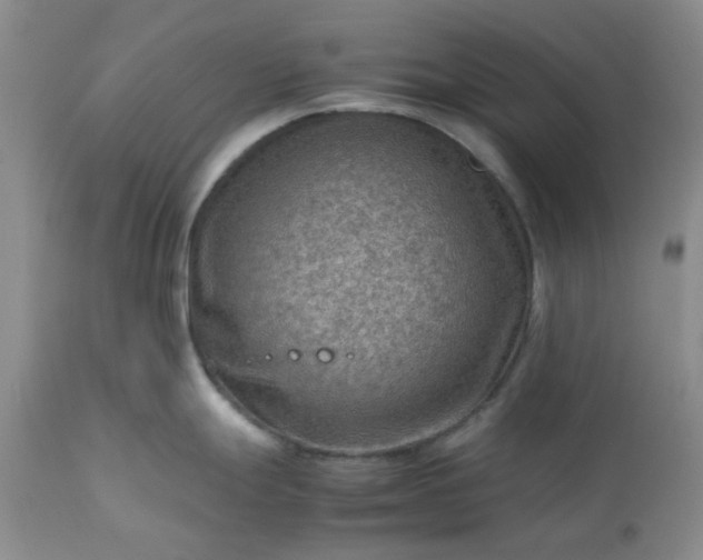 X0000113591247200910021709