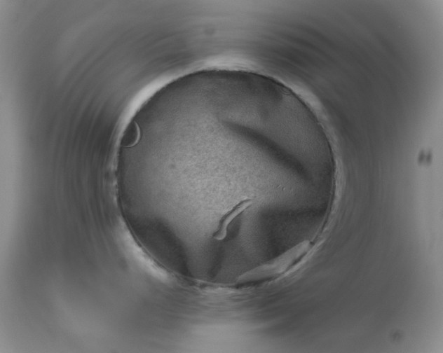 X0000113591248200910021709