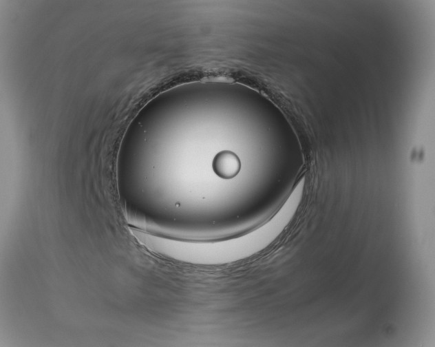 X0000113591249200910021708