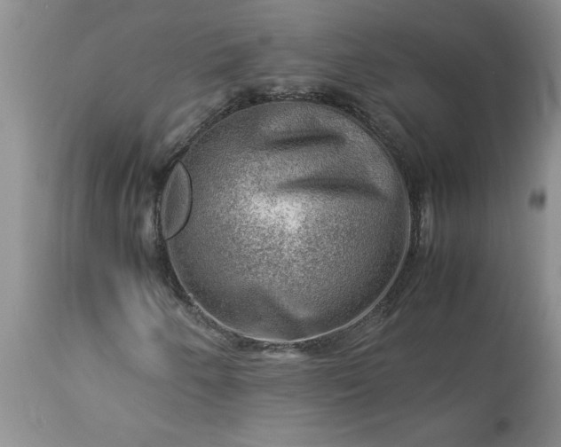 X0000113591250200910021708