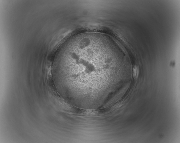 X0000113591251200910021708