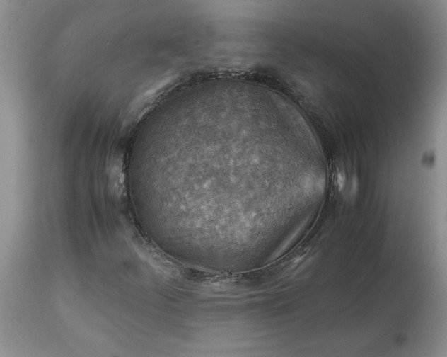 X0000113591252200910021708