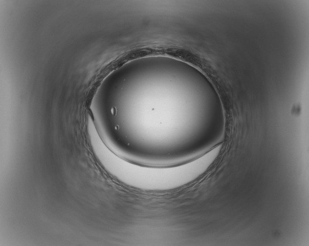 X0000113591253200910021708