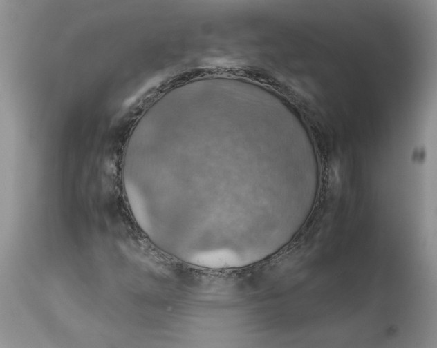 X0000113591254200910021708