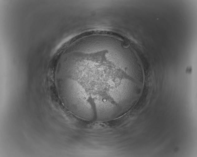 X0000113591255200910021708