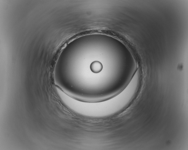 X0000113591257200910021708