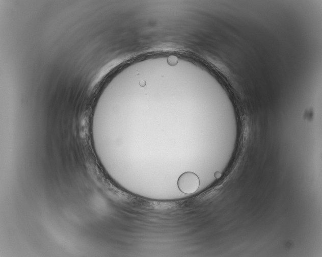 X0000113591258200910021708