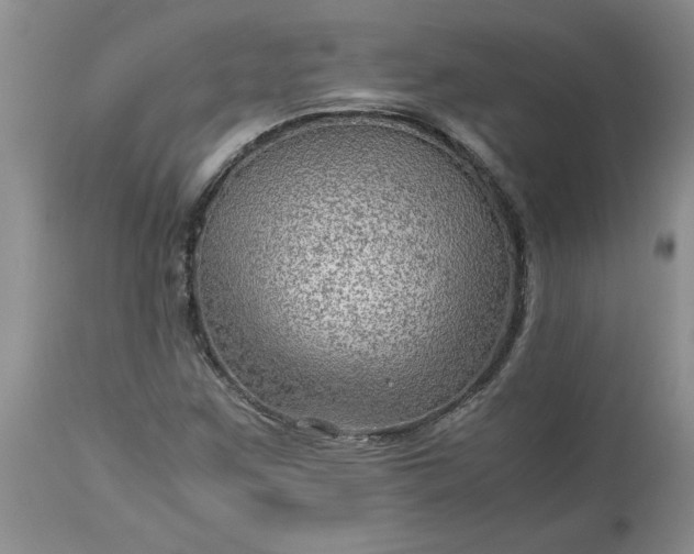 X0000113591259200910021708