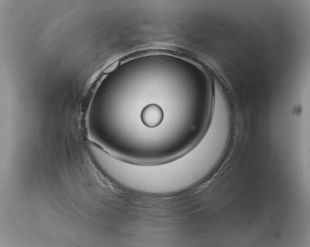 X0000113591260200910021708