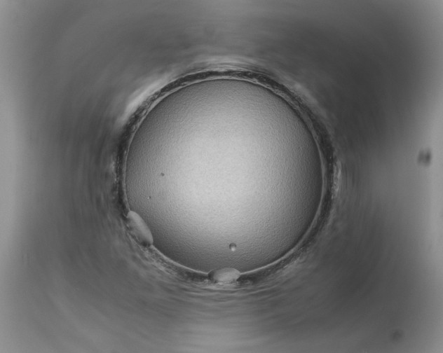 X0000113591261200910021708