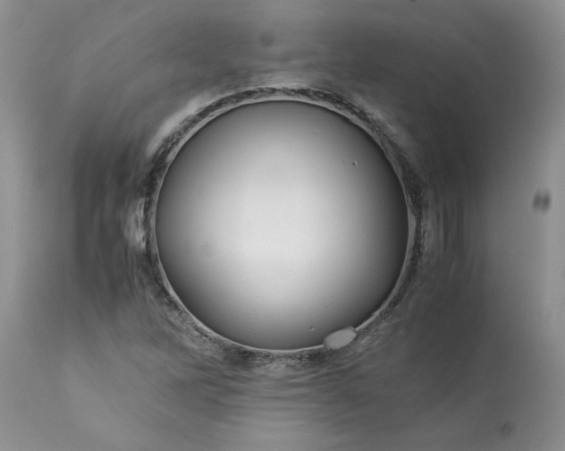 X0000113591262200910021708