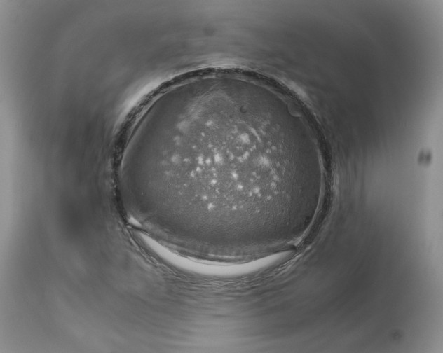 X0000113591263200910021708