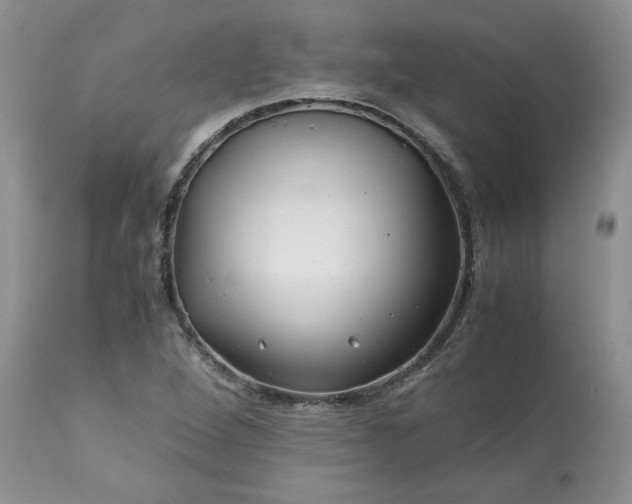 X0000113591264200910021708