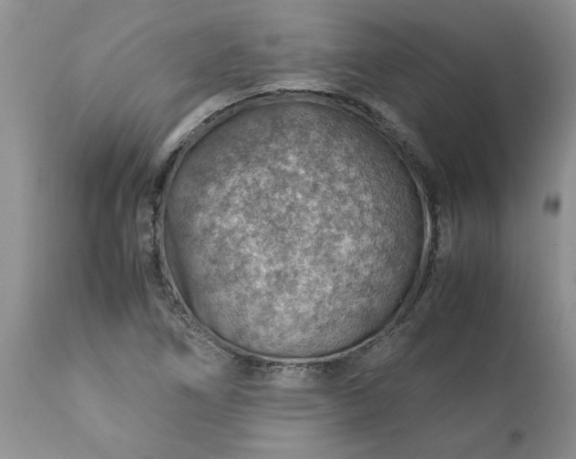 X0000113591266200910021708