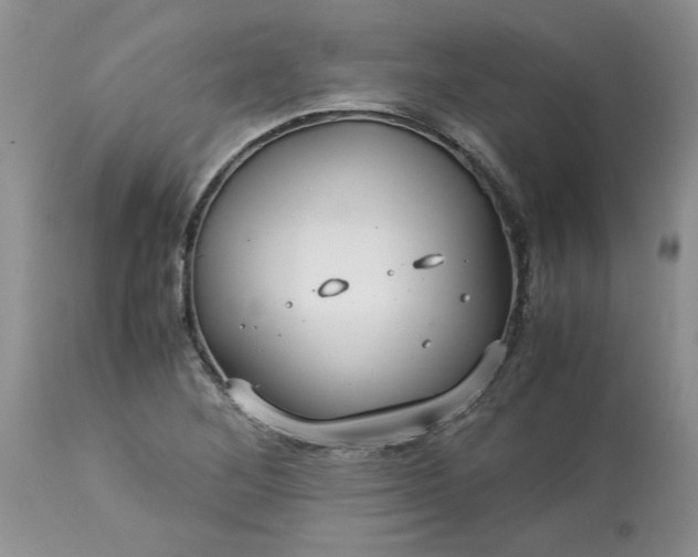 X0000113591268200910021708