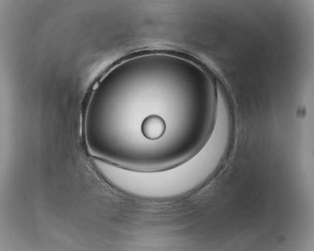 X0000113591269200910021708