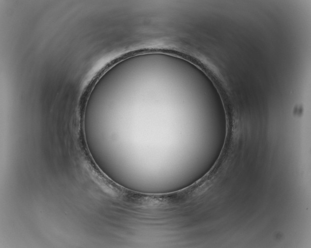 X0000113591270200910021708