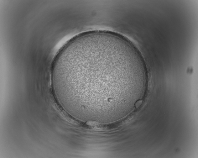 X0000113591271200910021708