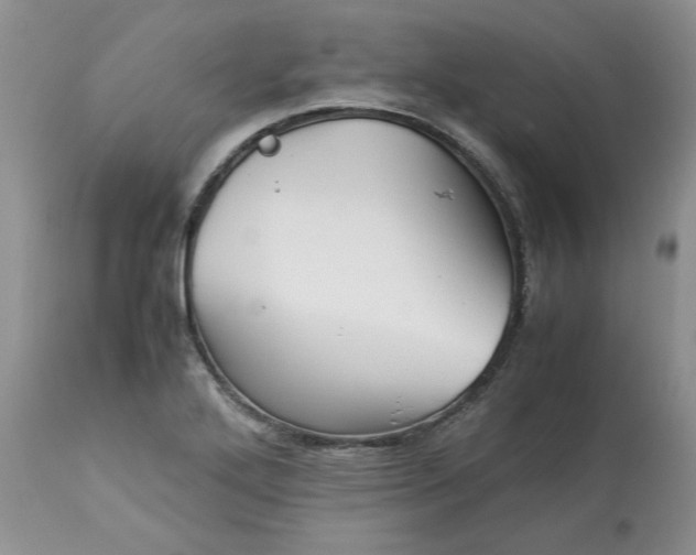 X0000113591272200910021708