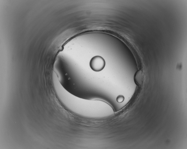 X0000113591273200910021708