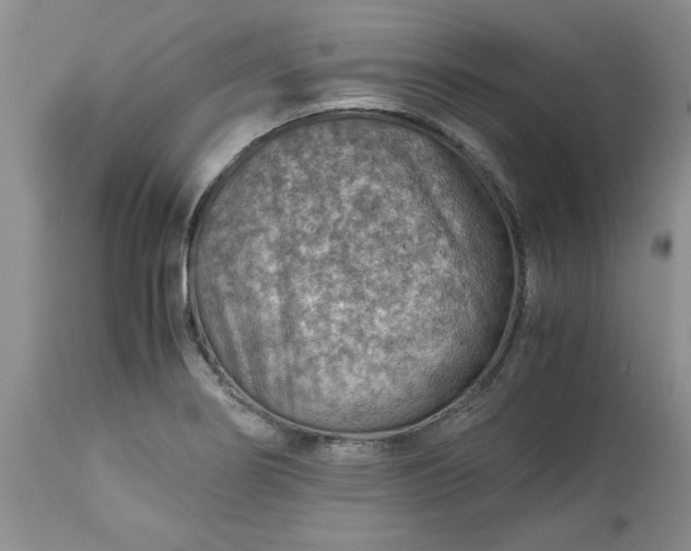 X0000113591274200910021708