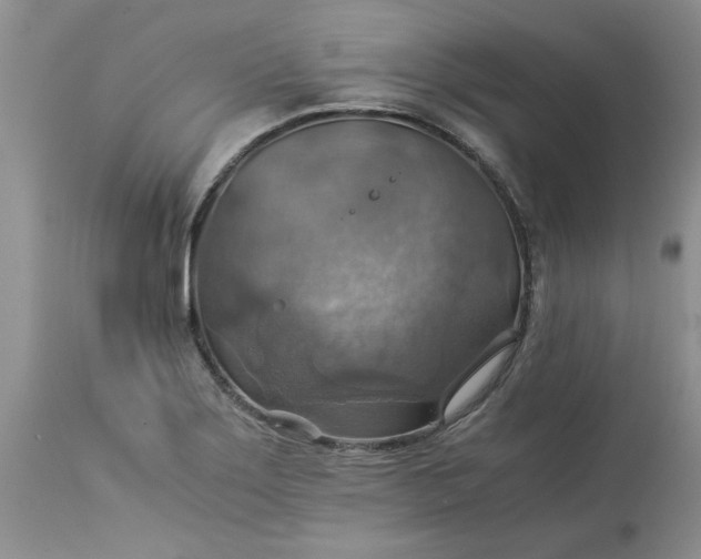 X0000113591275200910021708