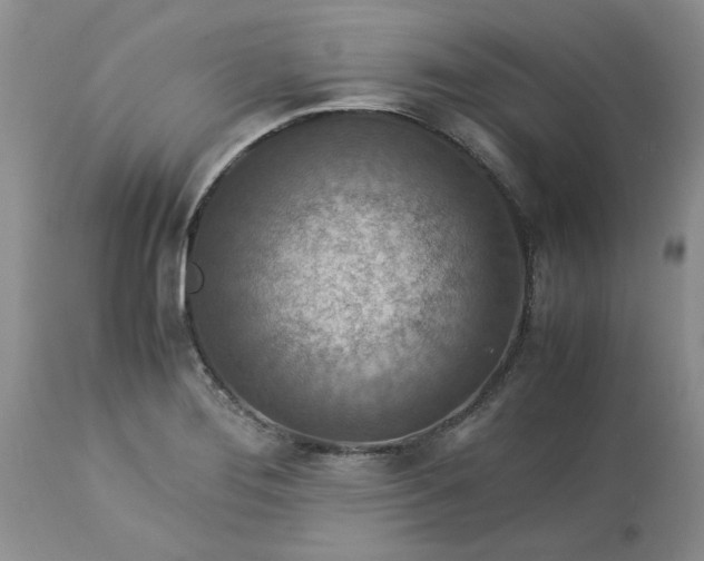 X0000113591276200910021708