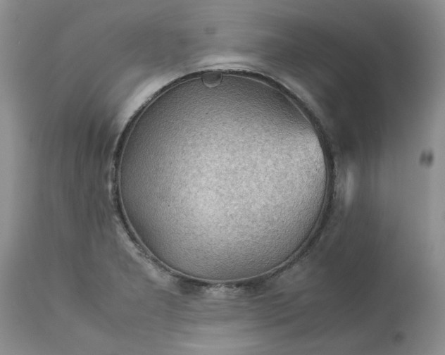 X0000113591277200910021708