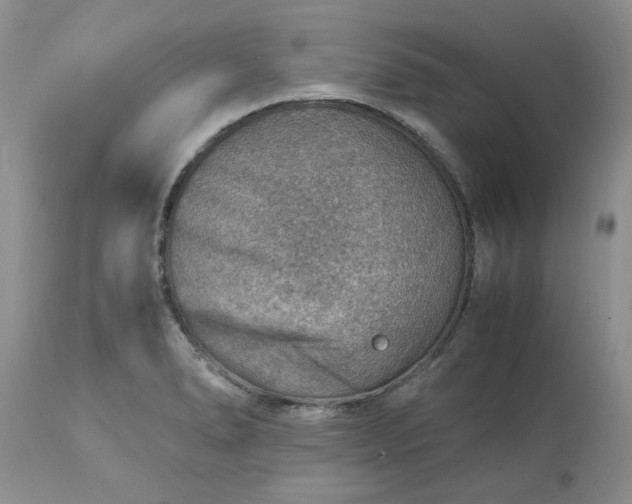 X0000113591278200910021708