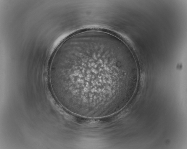 X0000113591279200910021708