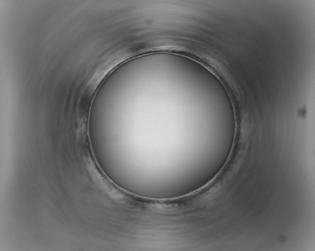 X0000113591281200910021708