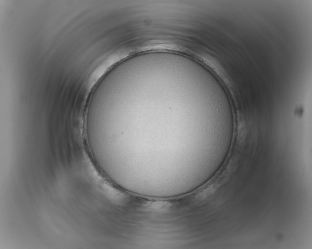 X0000113591282200910021708