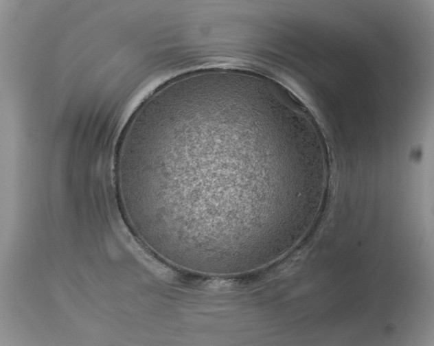 X0000113591283200910021708