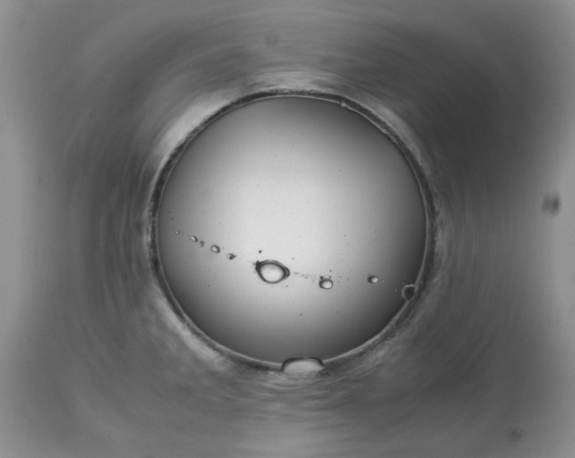 X0000113591285200910021708