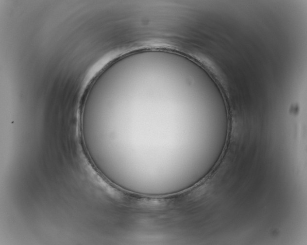 X0000113591286200910021708