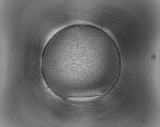 X0000113591287200910021708