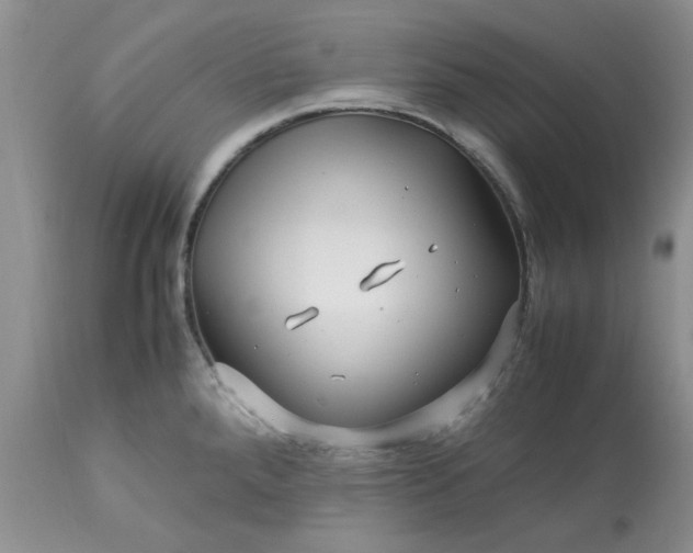 X0000113591288200910021708