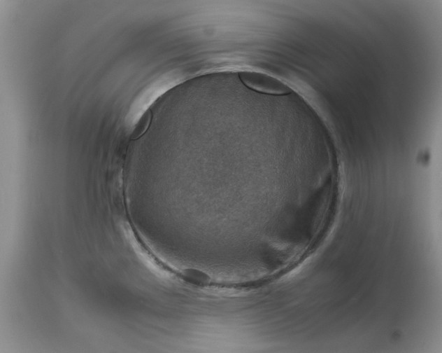 X0000113591289200910021708