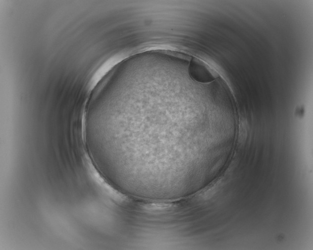 X0000113591290200910021708