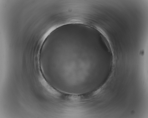 X0000113591291200910021708