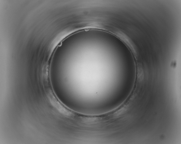 X0000113591292200910021708