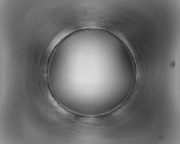 X0000113591293200910021708