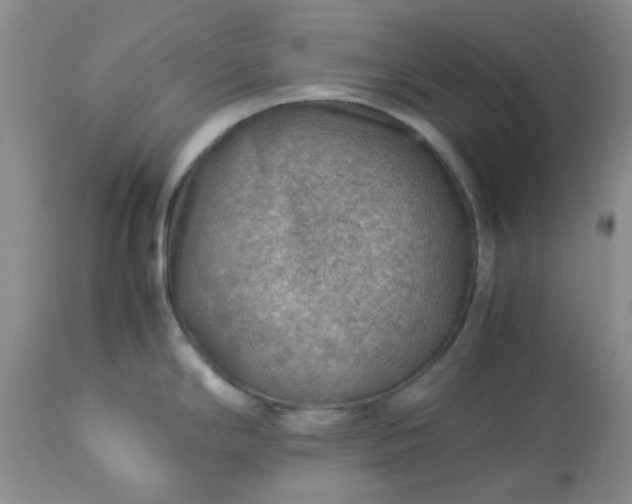 X0000113591294200910021708