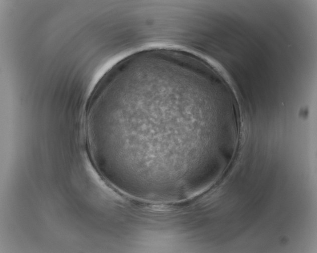 X0000113591295200910021708