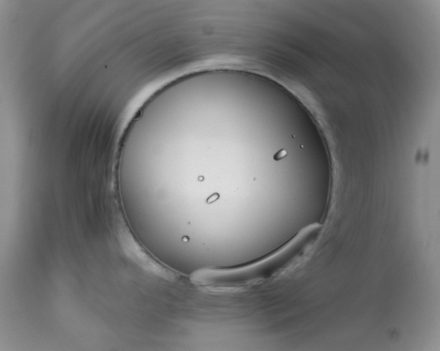 X0000113591296200910021707