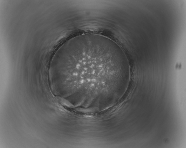 X0000113591297200910021707