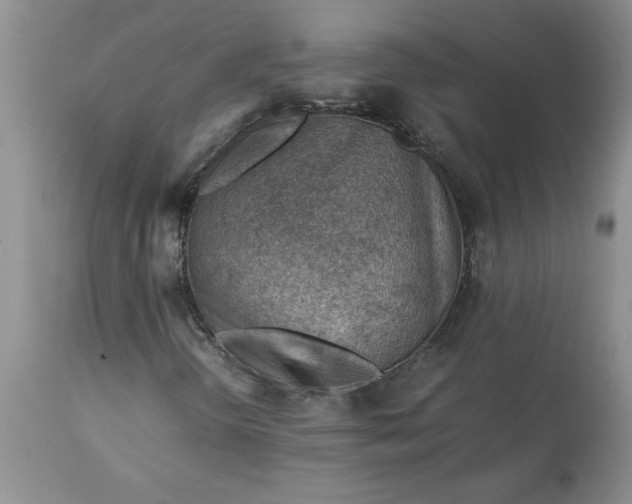 X0000113591298200910021707