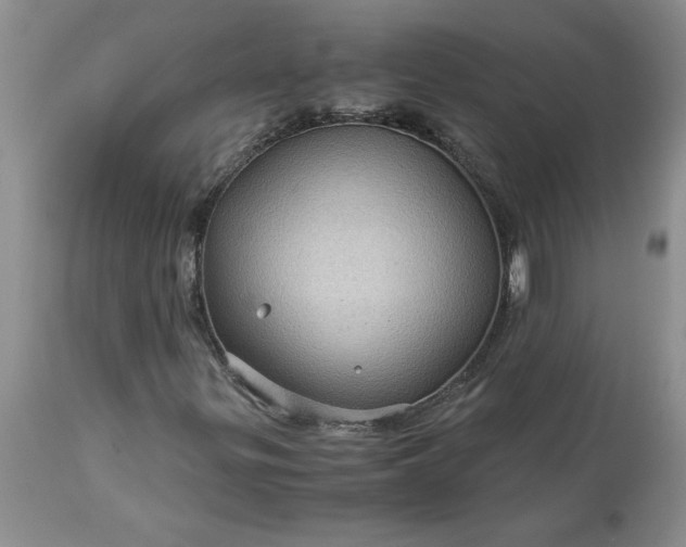 X0000113591299200910021707