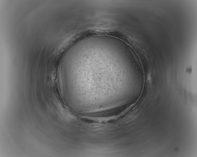 X0000113591300200910021707